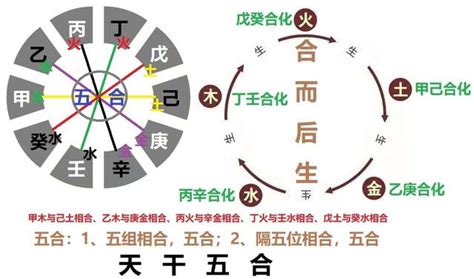 戊癸合老少配|天干五合详解